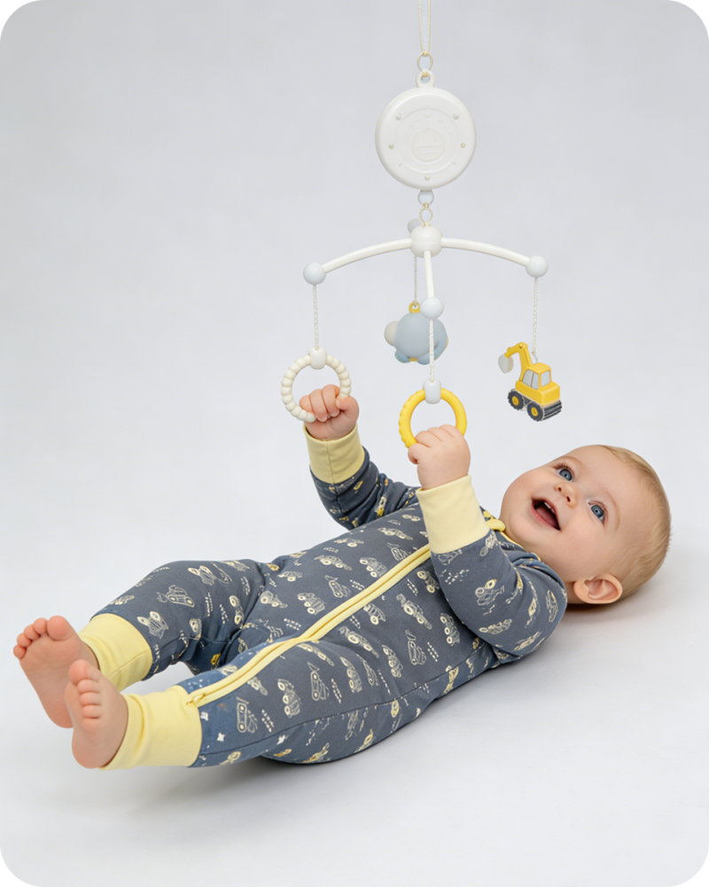 Bamboo Bodysuit Baby Grey Car Print