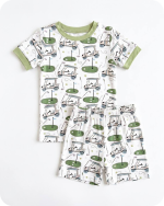 Bamboo Lounge Set in Fairway Fun Sage Green